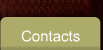 contacts 